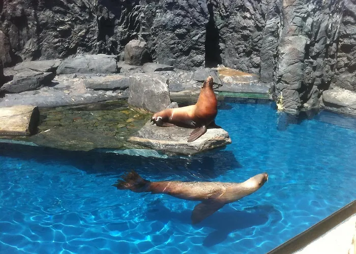 Top Mystic Falls Hotels & Luxurious Stays