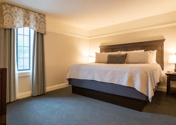 Premier Hotels with Niagara Falls USA Side Views